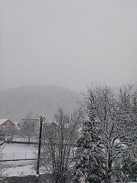 Hvozdnica
