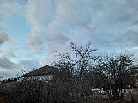Olešná