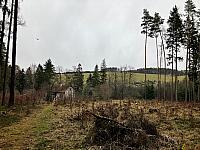 Fotografie