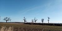 Lukovany
