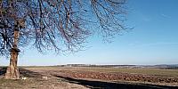 Lukovany