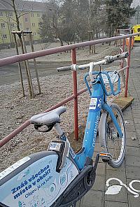Borovina