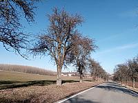 Lukovany