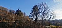 Holčovice