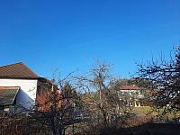Olešná