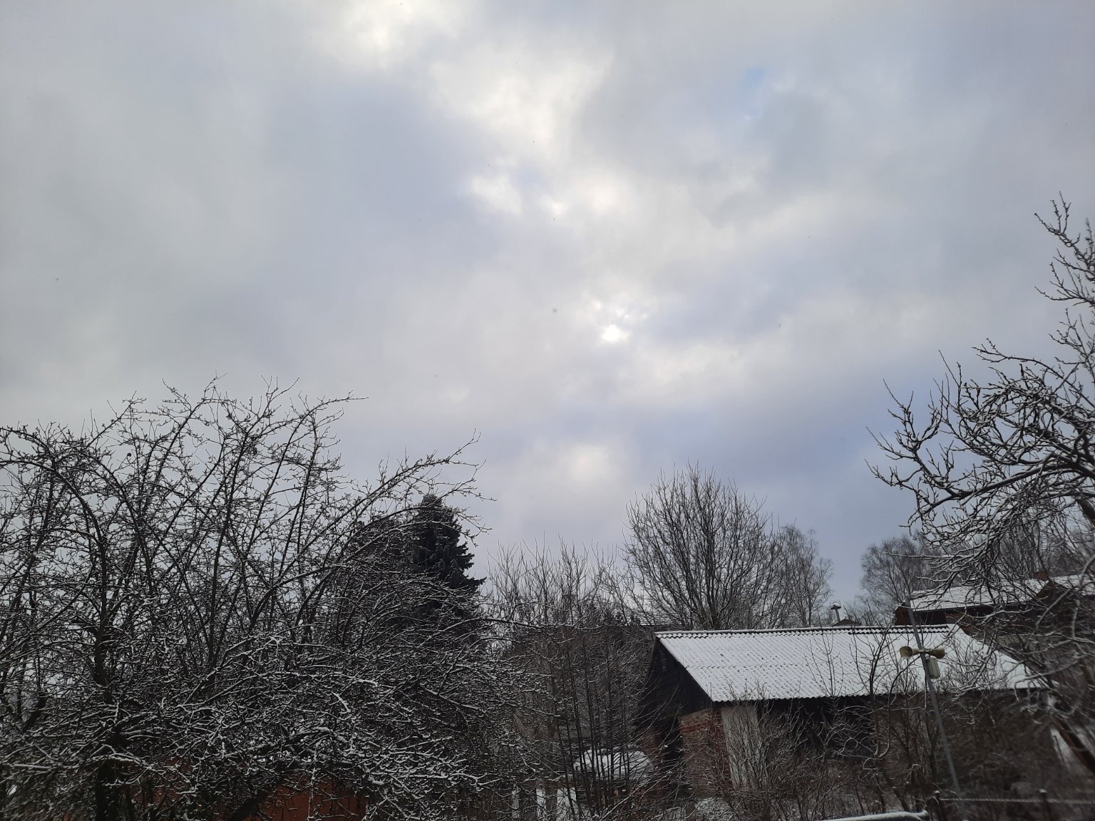 Olešná