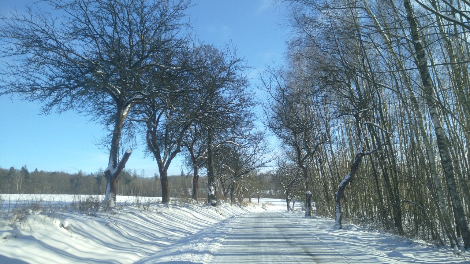 Šluknov