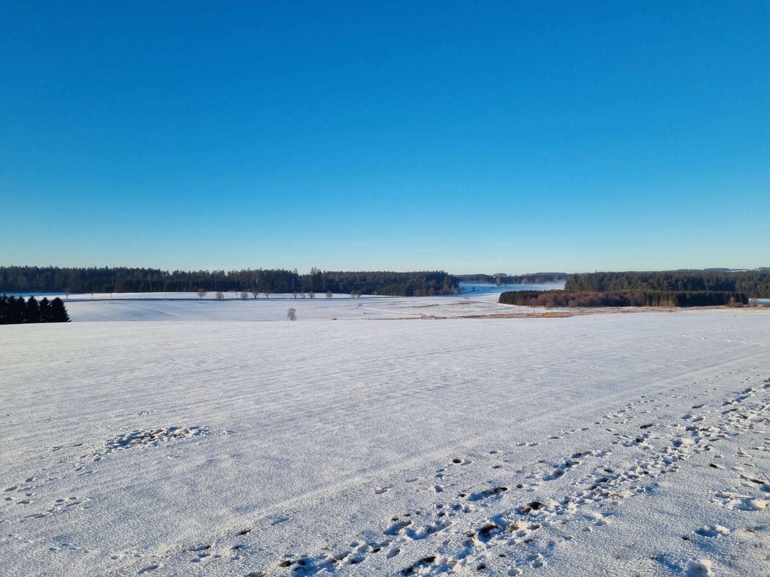 Svratka