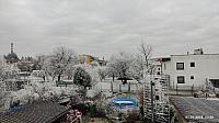 Hořice - Libonice