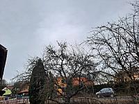 Olešná
