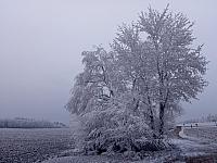 Lukovany