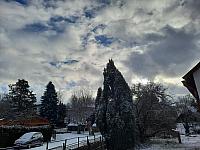 Olešná