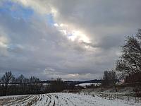 Olešná