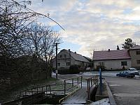 Třibřichy