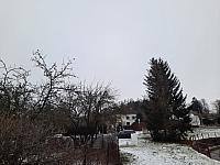 Olešná