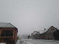 Olešná