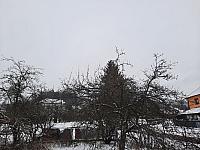 Olešná