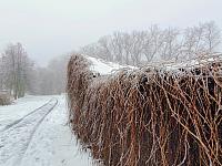 Chomutov