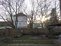 Třibřichy