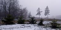 Lukovany