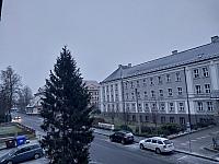 Český Těšín
