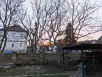Třibřichy