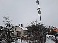 Olešná