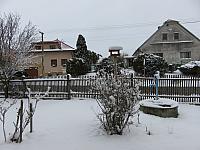 Třibřichy