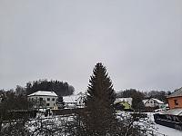 Olešná