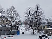 Český Těšín