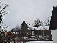 Olešná
