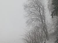 Němčice Zhoř