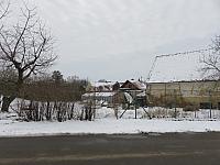 Třibřichy