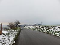 Třibřichy