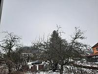 Olešná
