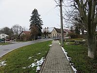 Třibřichy