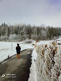 Nižná