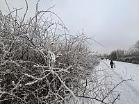 Chomutov