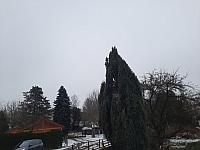 Olešná