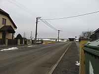 Třibřichy