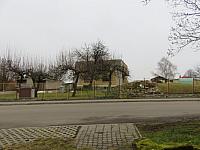 Třibřichy