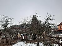 Olešná