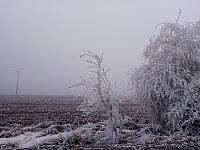 Lukovany