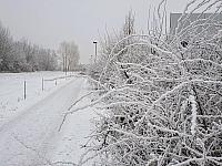Chomutov