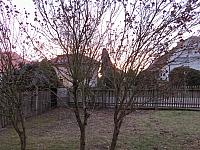 Třibřichy