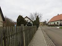 Třibřichy