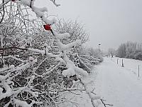 Chomutov