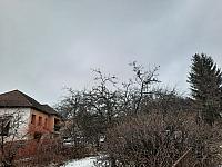 Olešná