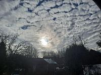 Olešná