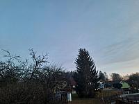 Olešná